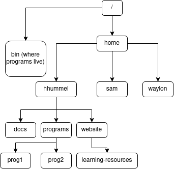 The Linux file tree, reduced to /home and /bin